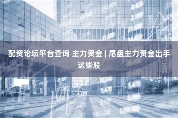 配资论坛平台查询 主力资金 | 尾盘主力资金出手这些股