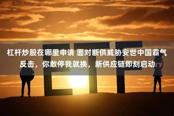 杠杆炒股在哪里申请 面对断供威胁安世中国霸气反击，你敢停我就换，新供应链即刻启动